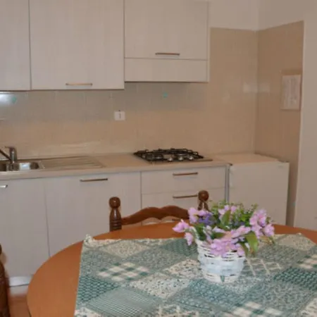 Cozy House In Near The *