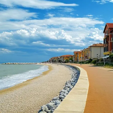 Cozy House In Near The *